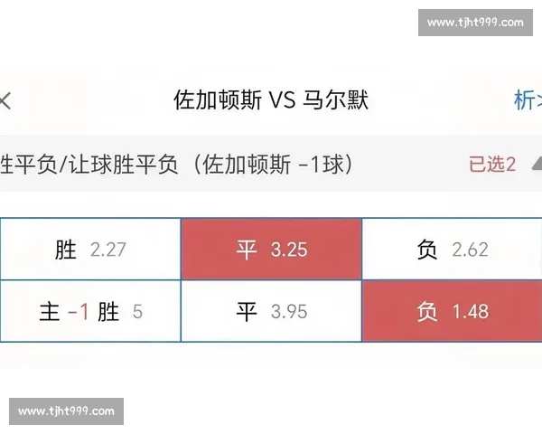 佐加斯顿与马尔默激战解析及赛场策略全方位解读